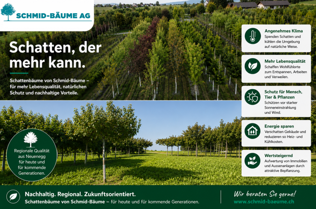 Screenshot 2026-07-20 135227